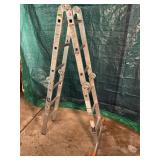 12' Metal Ladder