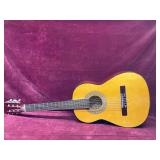 Global Musical Instruments, Accustic Guitar