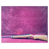 Ruger 22 Long Rifle