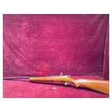 Springfield 22 Short or Long Rifle