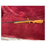 Remington 22 Rifle,