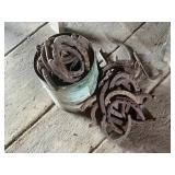 Antique Rustic Cast Iron Horseshoes Collection