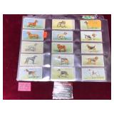 Lot Vintage Wills Cigarettes Dogs Cards