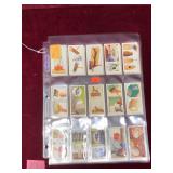 Lot Wills Cigarettes Household Hints Cards