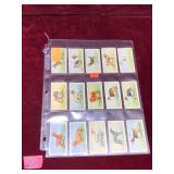 Lot Wills Cigarettes Dogs Full Series Cards