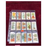 Lot Vintage Wills Cigarettes Gardening Hints Cards