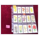 Lot Vintage Black Cat Cigarette Flower Cards
