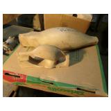 common merganser duck pattern