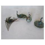 all peacocks & picture