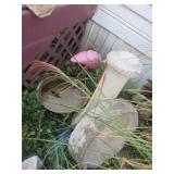 birdbath & yard decorations