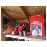 goose with horn,pumpkins & items