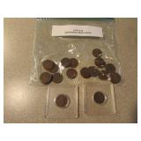 25 indian head cents