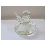 joe rice clear bird on nest