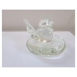 joe rice clear bird on nest