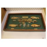 american angling shadow box of fly fishing