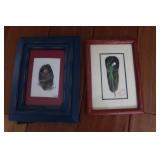 2 parrot feather pictures