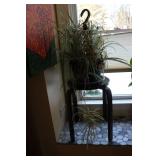spider plant & stand
