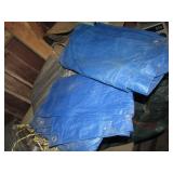 2 blue tarps