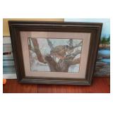 owl picture by R. Fennell