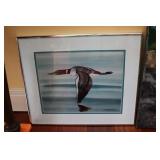 duck picture by charles harris