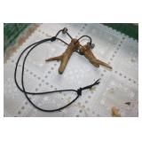 deer antler pcs