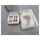brooch & earrings
