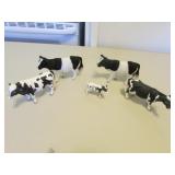 5 cows
