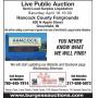 Live Surplus Liquidation Auction