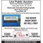 Live Store Goods Liquidation Auction