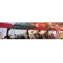 Euromax 10x10 Pop-Up Canopy