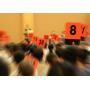 Online Only Auction Lots Begin to Close @ 6:00 on
