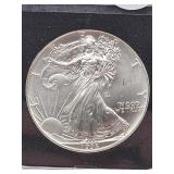United States  Silver 1993  American One Ounce Sil