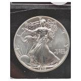 United States  Silver 1989 American One Ounce Silv