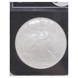 United States  Silver 2006  American One Ounce Sil