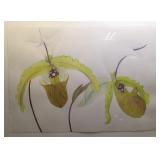 Large Botanical Watercolor, 2 Slipper Orchids on A