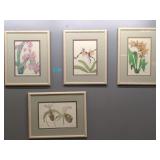 After Margo Brinton 4 Framed Botanical Prints