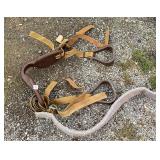 Bareback Riding Outfit Bareback Riding Outfit