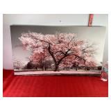 Cherry Blossom Canvas Picture Approx 35.5" x 20" Cherry Blossom Canvas Picture Approx 35.5" x 20"