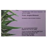 2 Halotherapy Salt Cave