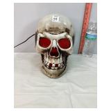 Lighted Skull Decor