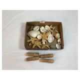 Shells & Vtg Needle Containers