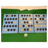 22 Buffalo Nickels in Book