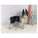 Cast Boston Terrier