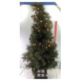 Lighted Tree