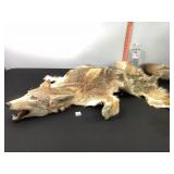 Coyote Pelt