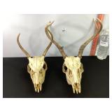 European Style Mounts
