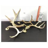Wall Brackets w/Antlers