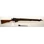 RING 1- FIREARM, AMMO 