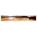 Firearm-Tool-Lawn Mower-Household Auction