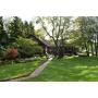 Tract 1- Real Estate-Brick Ranch on 4.95+/- Acres